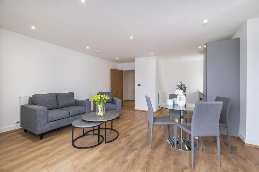 1 bedroom apartment for rent