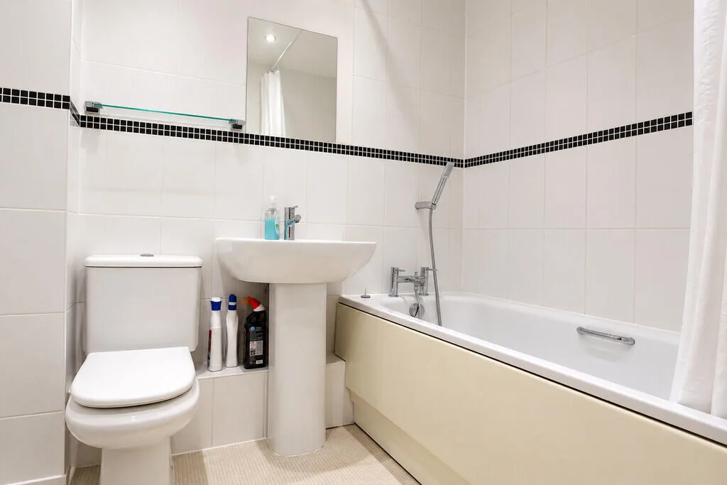 1 bedroom apartment for rent
