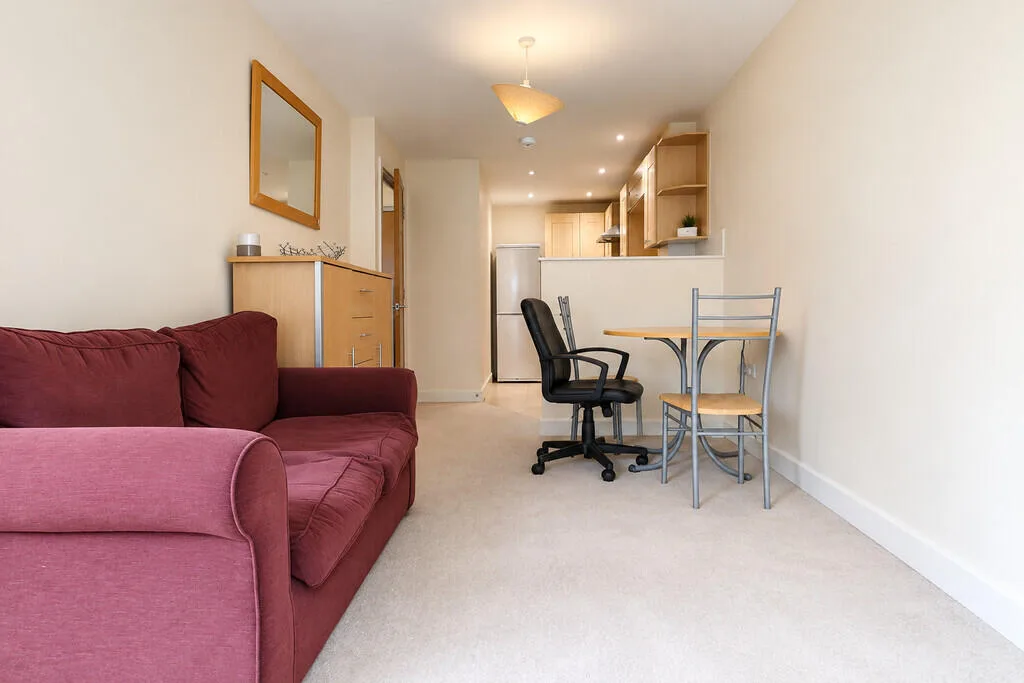 1 bedroom apartment for rent