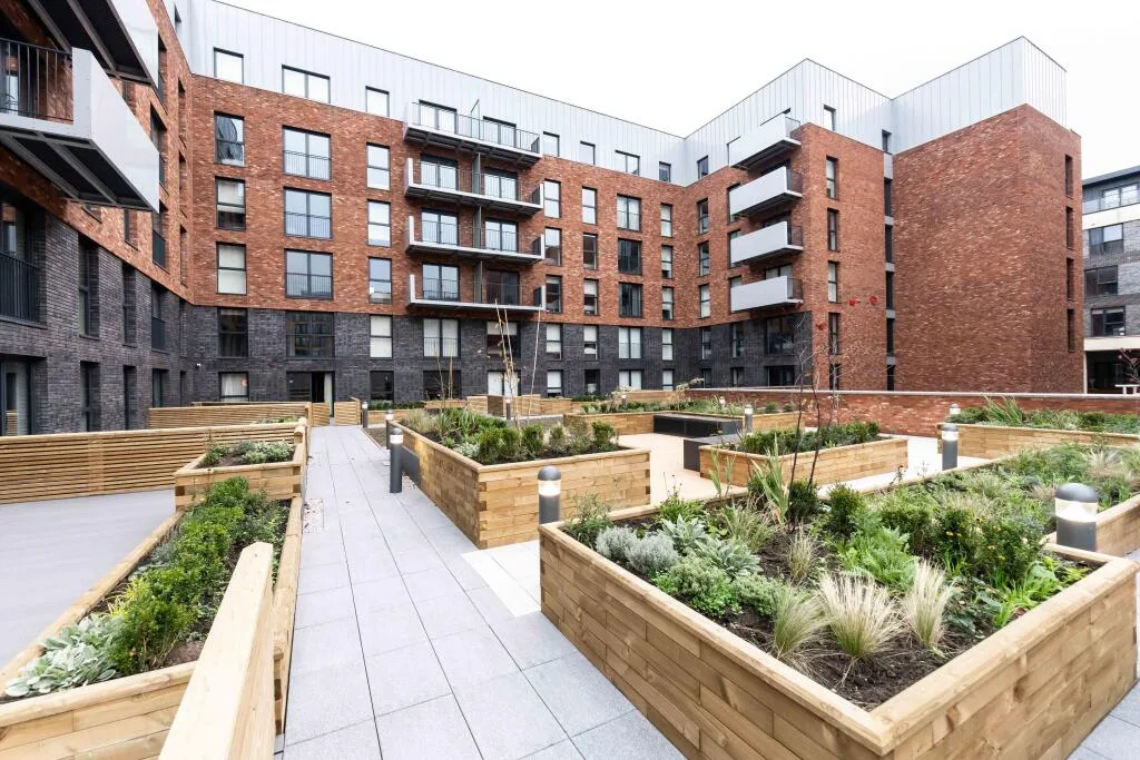 3 bedroom apartment for rent