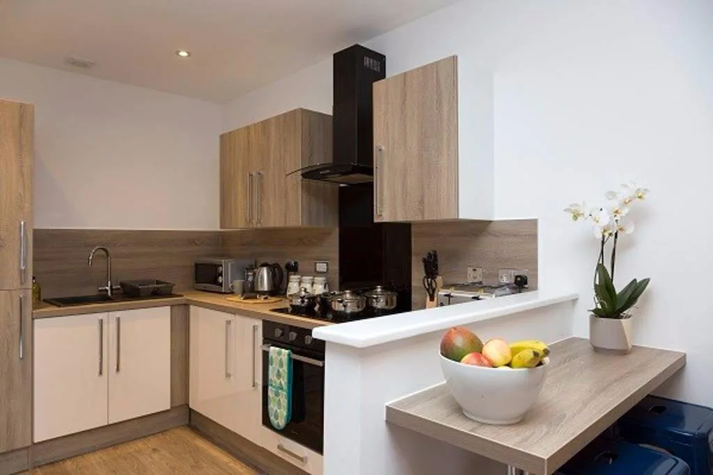 Studio flat for rent