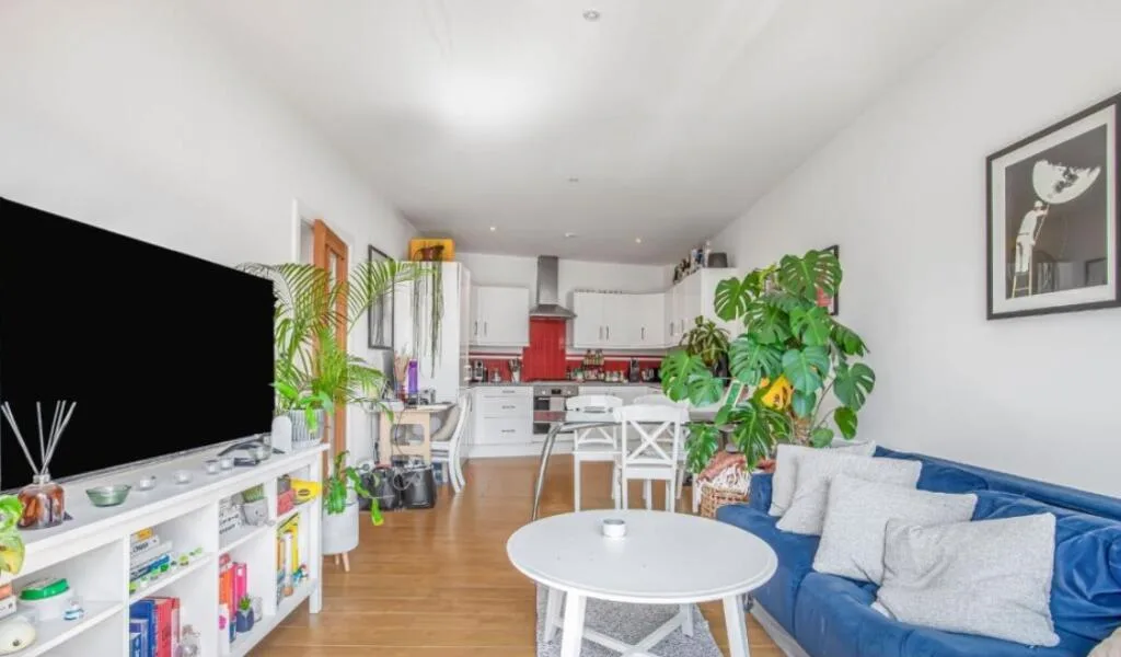 2 bedroom apartment for rent