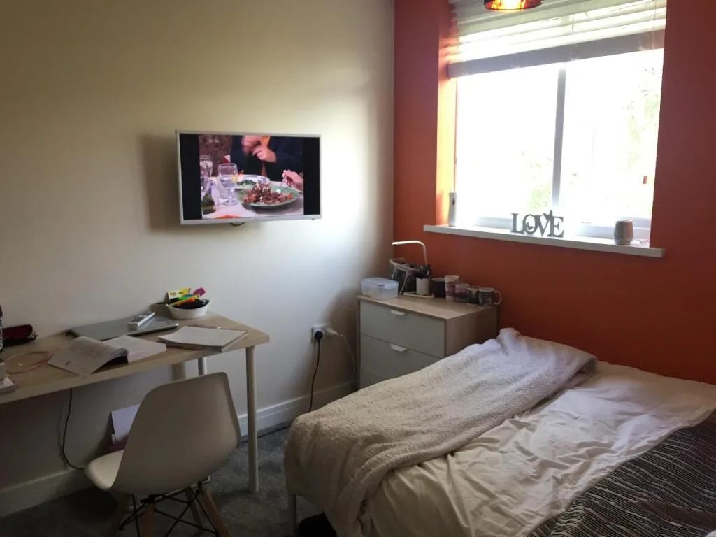 3 bedroom flat for rent
