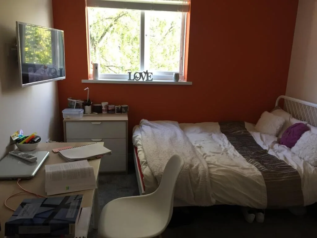 3 bedroom flat for rent