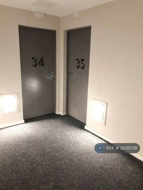 Studio flat for rent