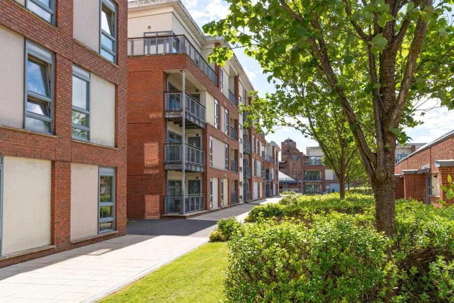 2 bedroom flat for rent