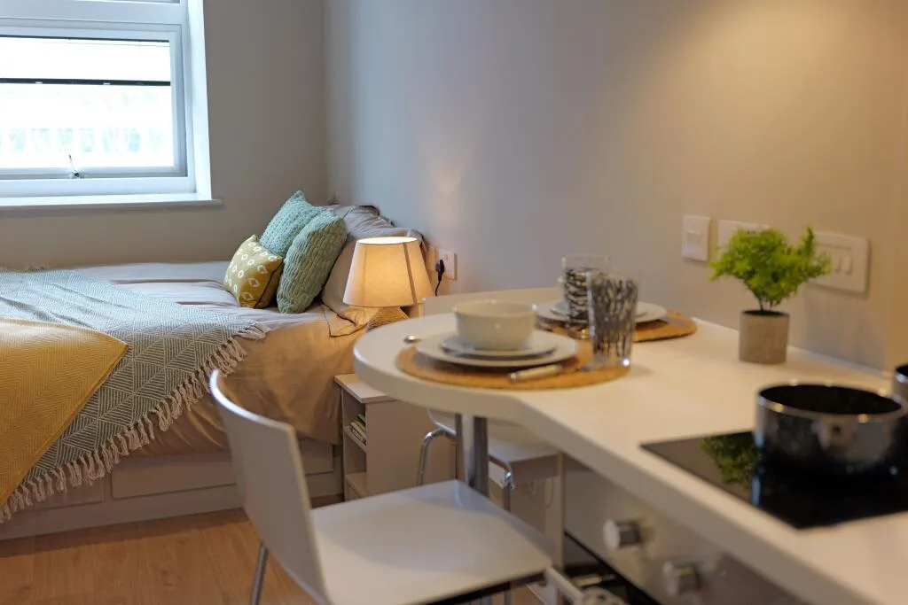 Studio flat for rent