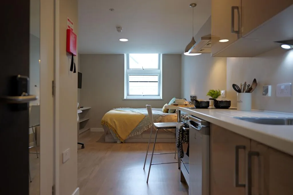 Studio flat for rent