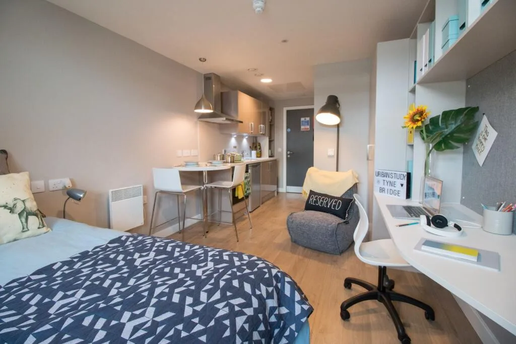 Studio flat for rent
