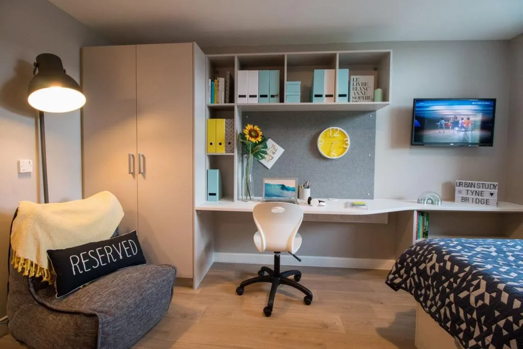 Studio flat for rent
