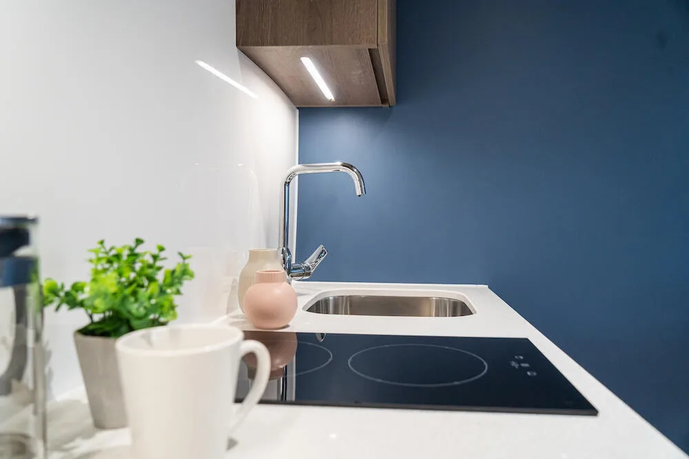 1 bedroom apartment for rent