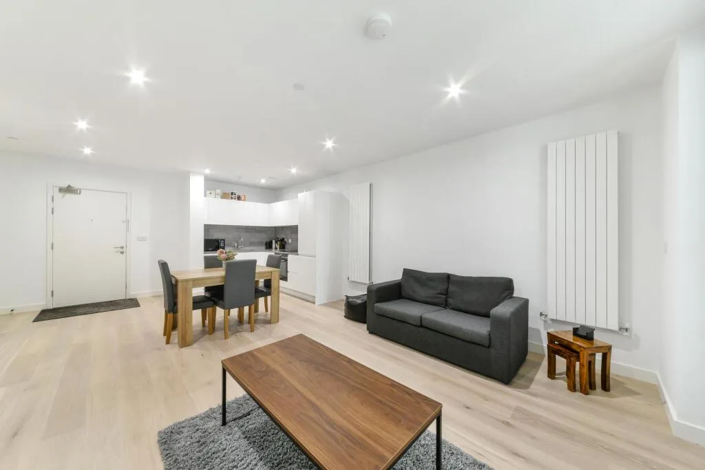 1 bedroom apartment for rent