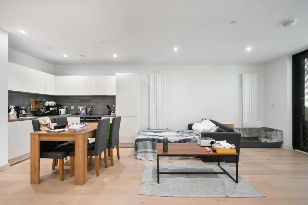 1 bedroom apartment for rent