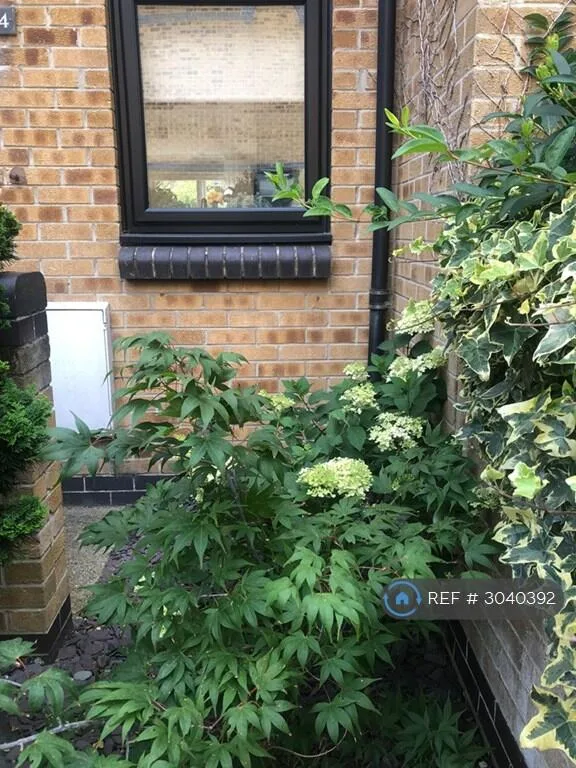 2 bedroom maisonette for rent