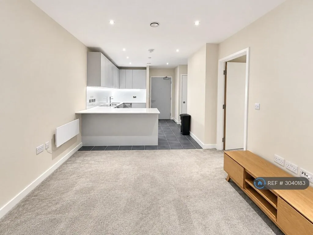 1 bedroom flat for rent