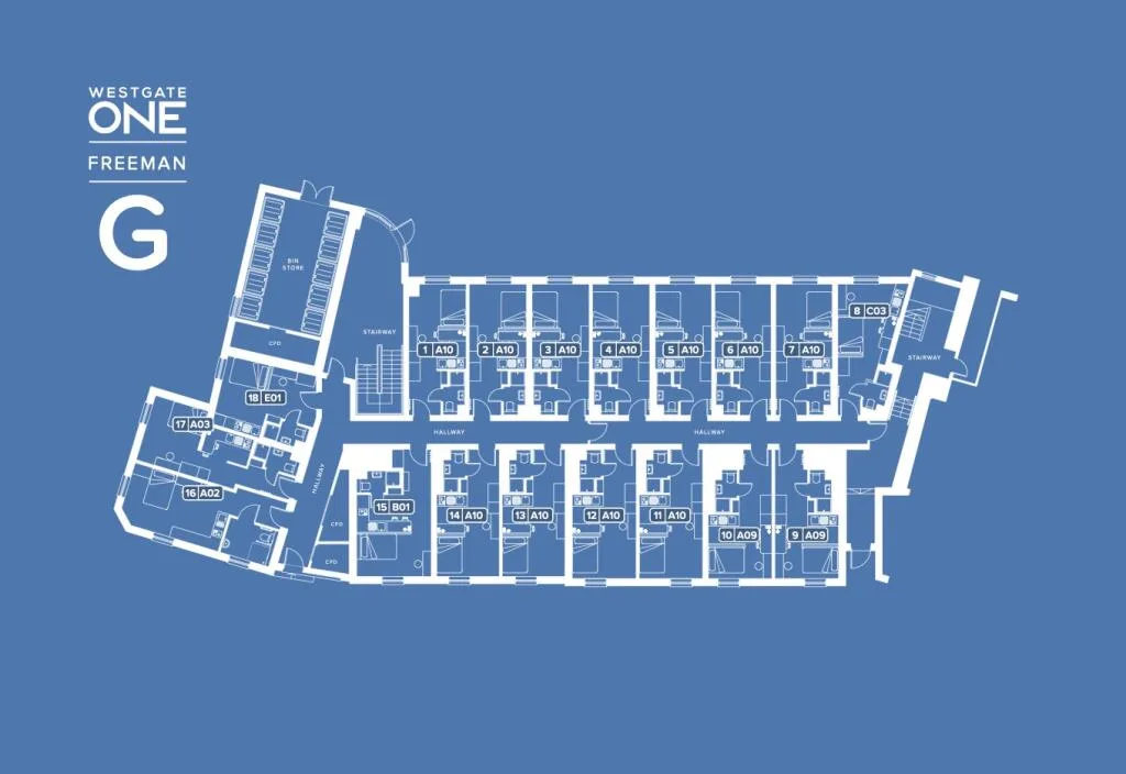 Studio flat for rent