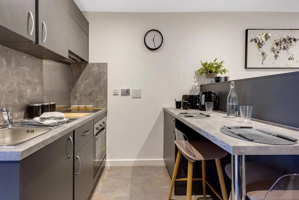Studio flat for rent
