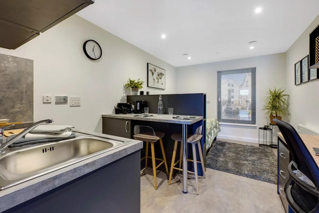 Studio flat for rent