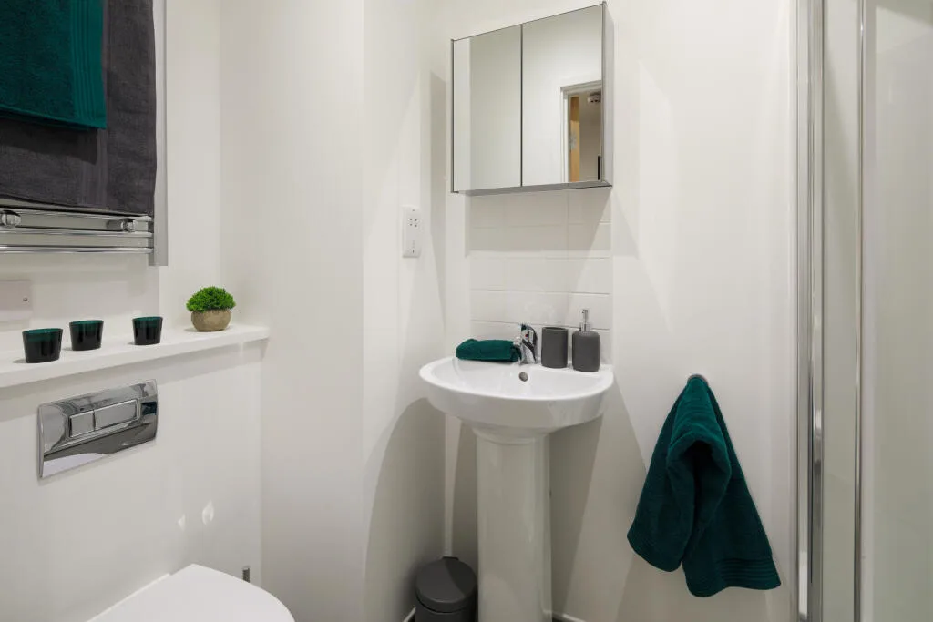 Studio flat for rent
