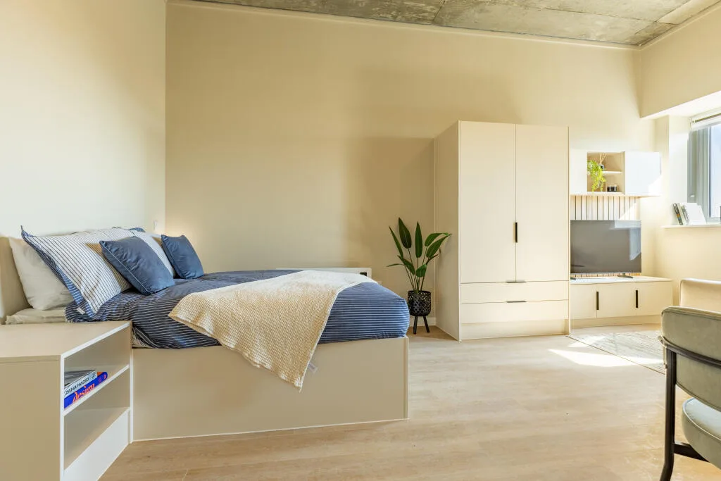 1 bedroom apartment for rent