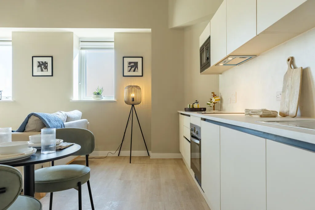 1 bedroom apartment for rent
