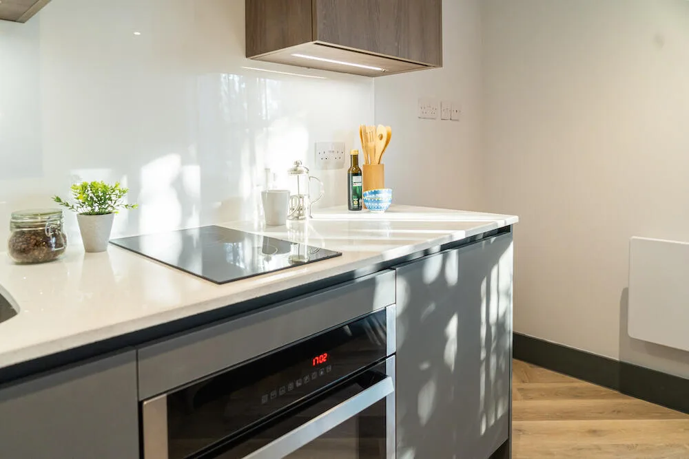 Studio flat for rent