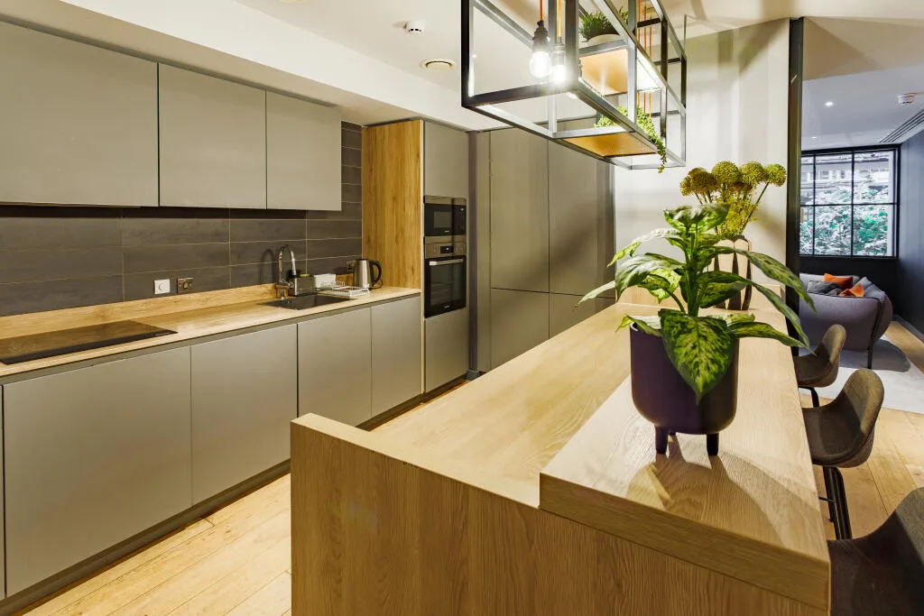 1 bedroom apartment for rent