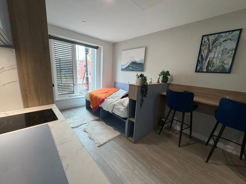Studio flat for rent