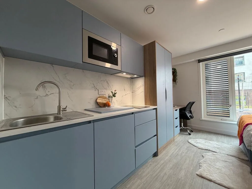 Studio flat for rent