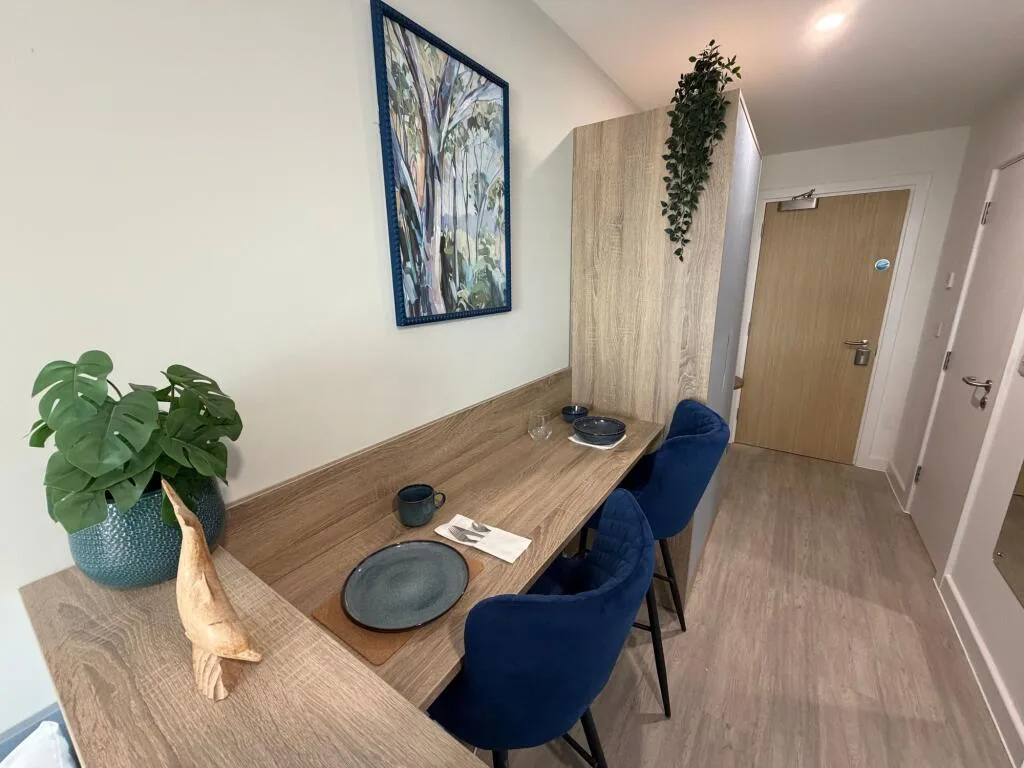 Studio flat for rent