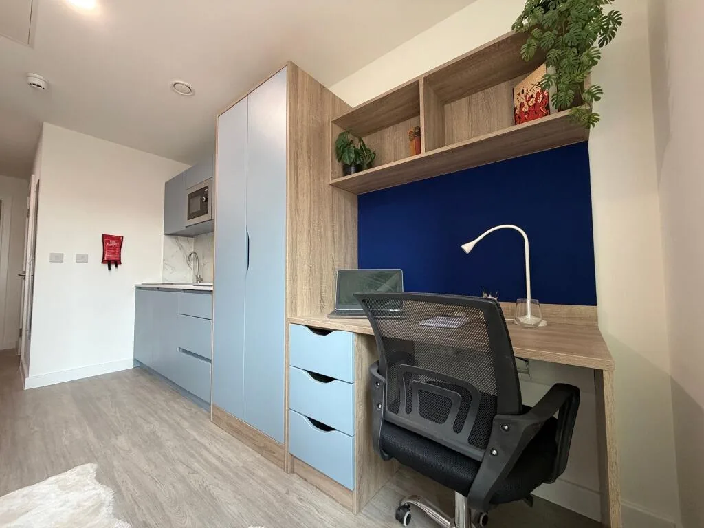Studio flat for rent