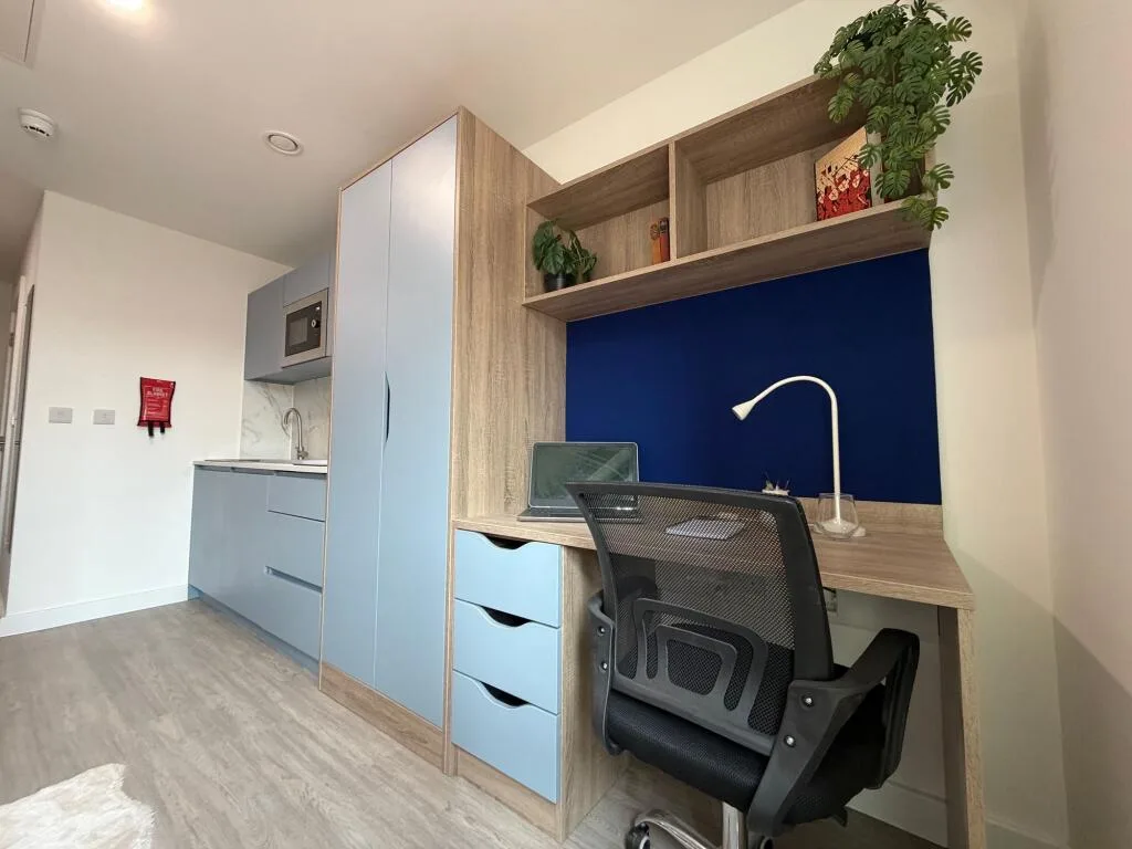 Studio flat for rent