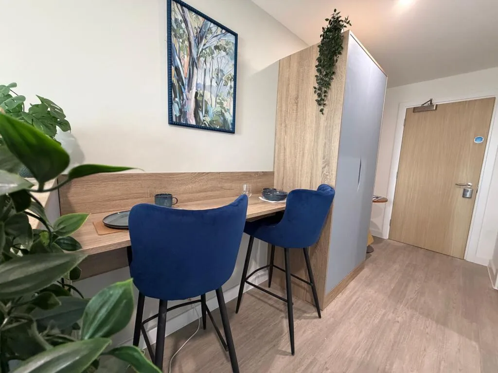 Studio flat for rent