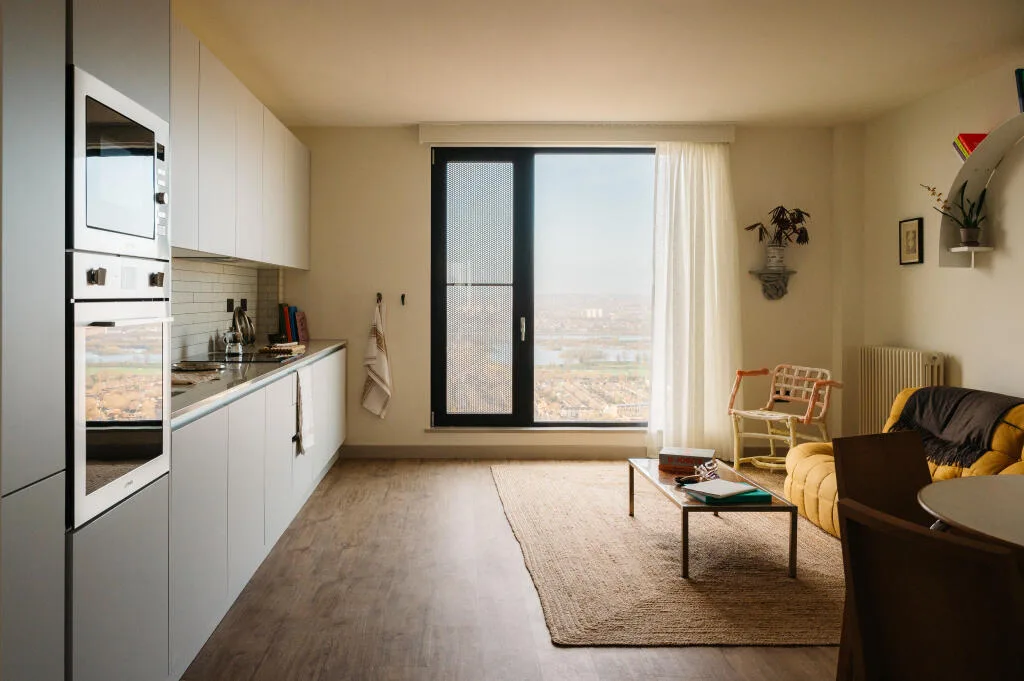 1 bedroom apartment for rent