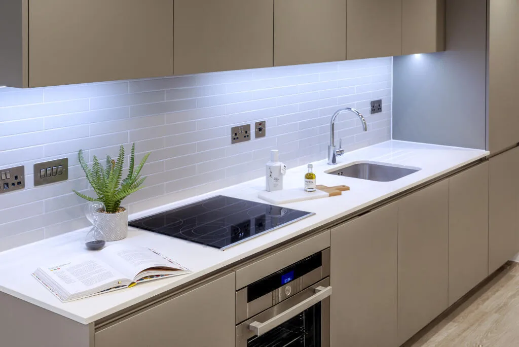 1 bedroom apartment for rent