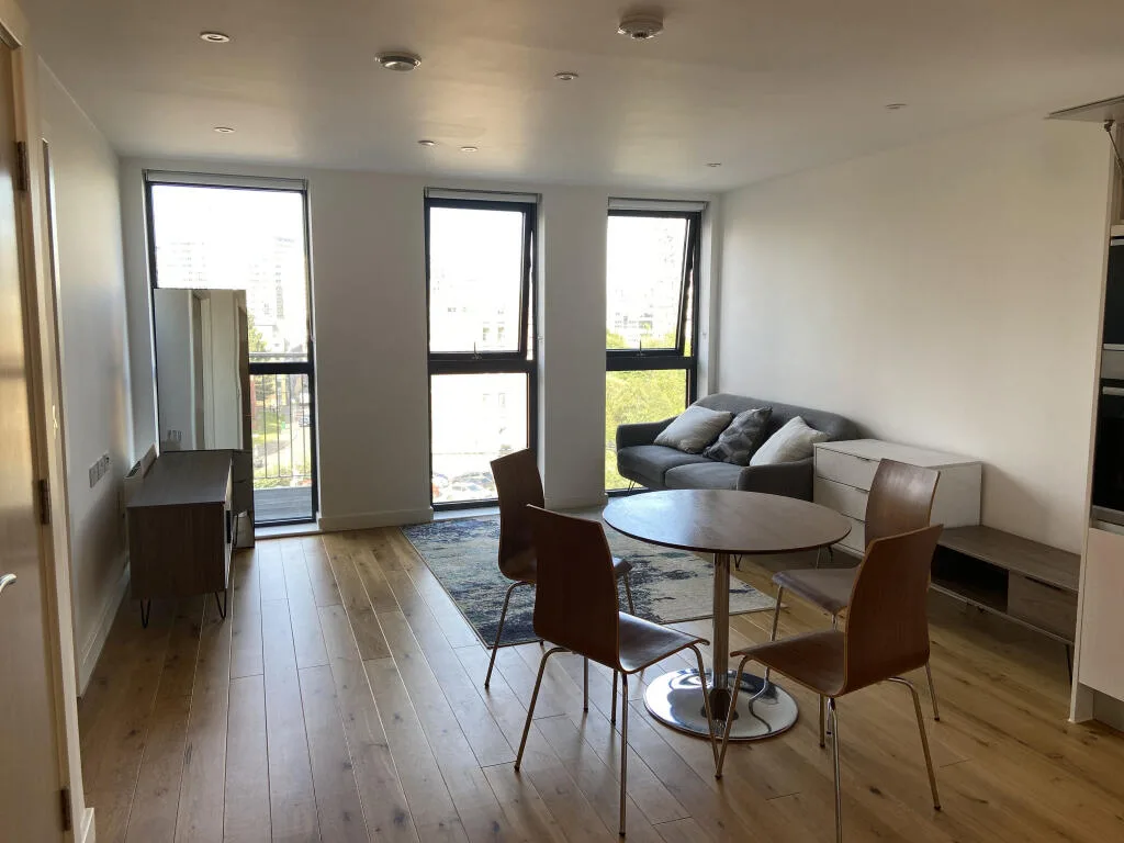 1 bedroom apartment for rent