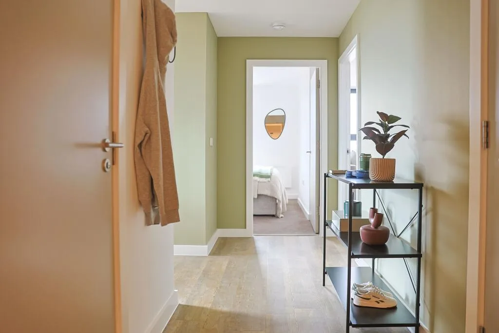2 bedroom apartment for rent
