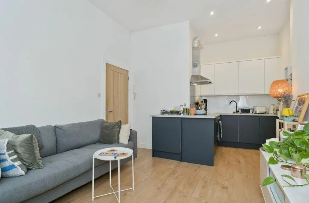 1 bedroom flat for rent