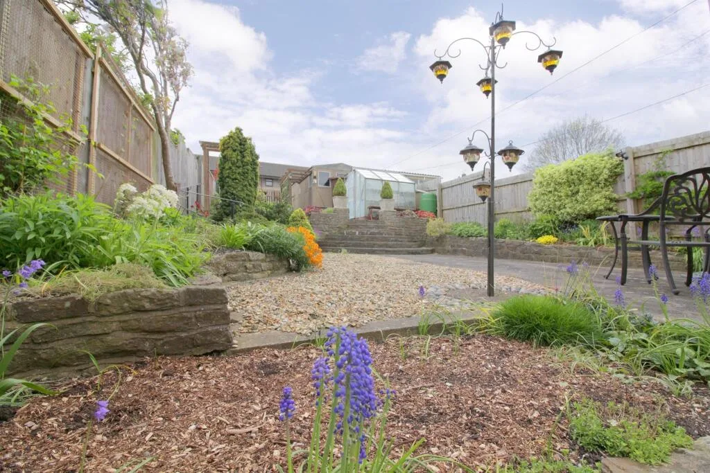3 bedroom house for rent