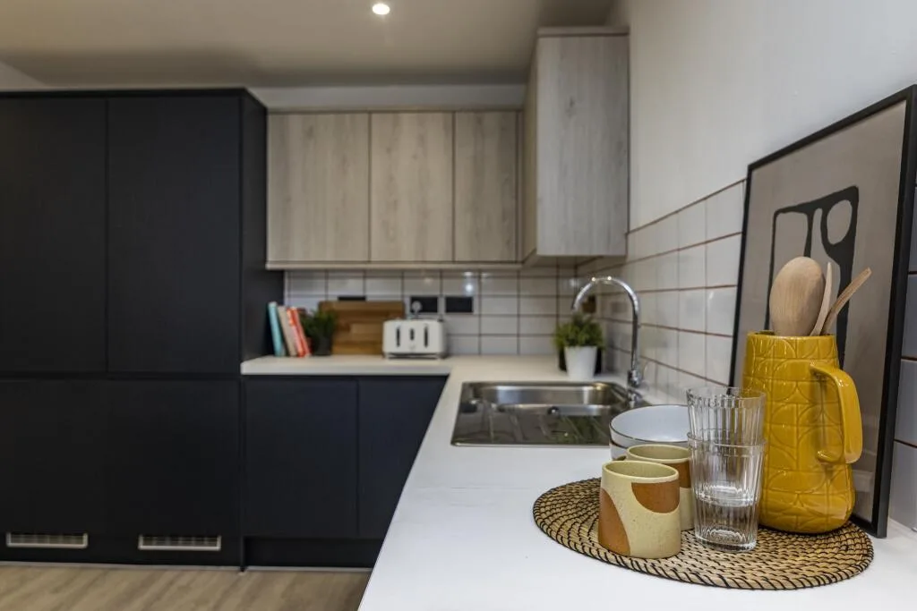 1 bedroom flat for rent