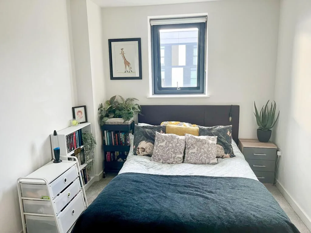 1 bedroom flat for rent