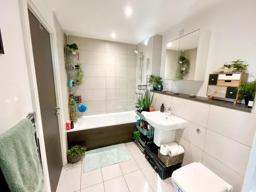 1 bedroom flat for rent