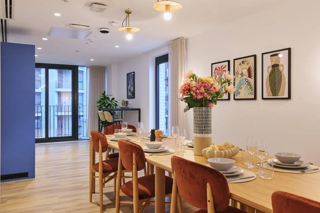 1 bedroom apartment for rent