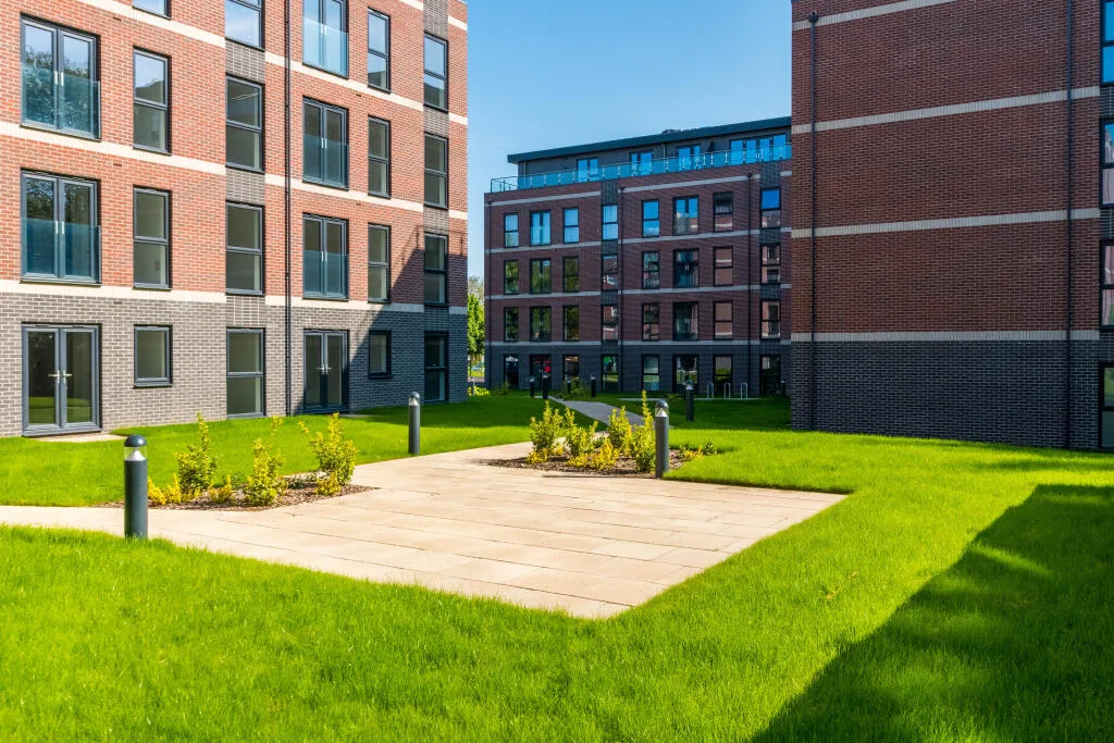 2 bedroom apartment for rent