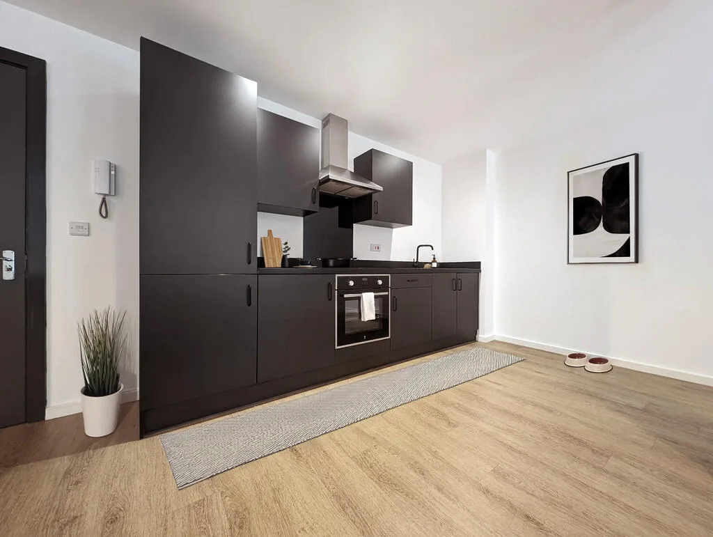 1 bedroom apartment for rent