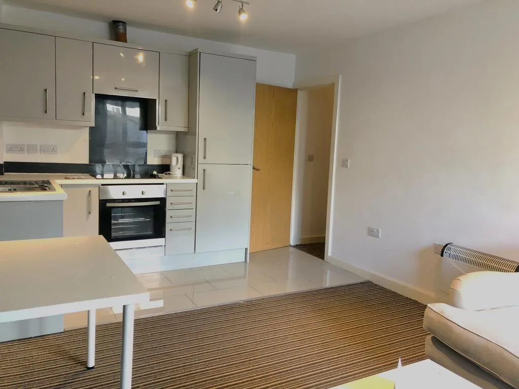 1 bedroom apartment for rent
