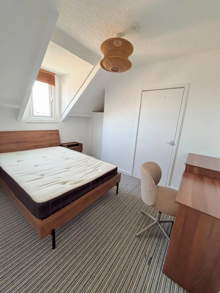 14 bedroom house of multiple occupation for rent