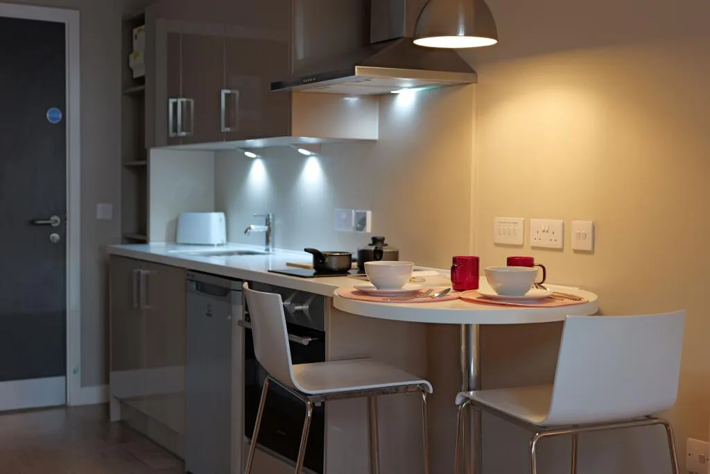 Studio flat for rent