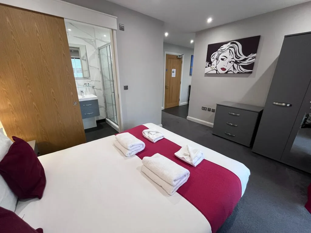 1 bedroom apartment for rent