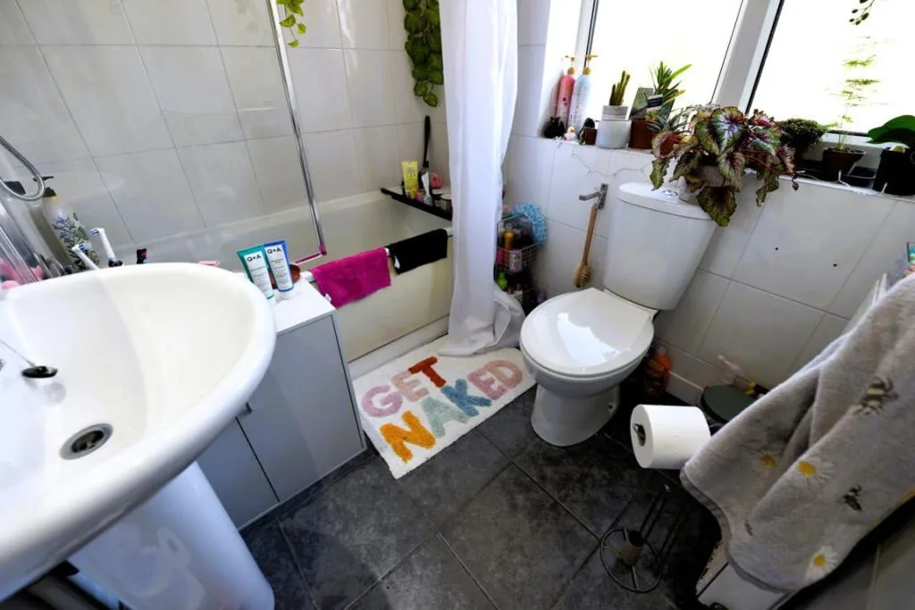 3 bedroom house for rent